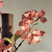 Load image into Gallery viewer, Potty Plants cherry blossoms, apple blossoms, peach blossoms decorative covers for toilet plunger and scrub brush
