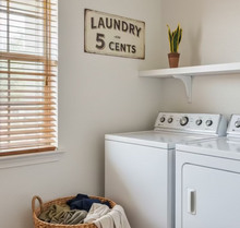 Load image into Gallery viewer, Lint Roller Cover Looks Like Plant Cactus Snake Plant Container For Laundry Petcare SuccuLINT™️
