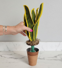 Load image into Gallery viewer, Lint Roller Cover Looks Like Plant Cactus Snake Plant Container For Laundry Petcare SuccuLINT™️
