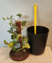 Load image into Gallery viewer, Artificial Venus Flytrap | Decorative Flyswatter Holder | Carnivorous Plant Décor
