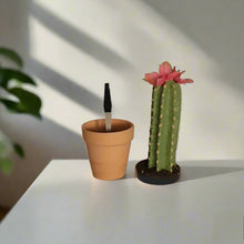 Load image into Gallery viewer, Desk Decor Hides Pen Highlighter Sharpie Nail File Envelope Letter Opener Keys Office Organization Secret Succulent Cactus
