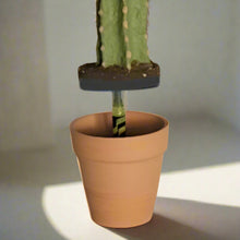 Load image into Gallery viewer, Desk Decor Hides Pen Highlighter Sharpie Nail File Envelope Letter Opener Keys Office Organization Secret Succulent Cactus
