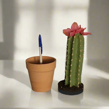Load image into Gallery viewer, Desk Decor Hides Pen Highlighter Sharpie Nail File Envelope Letter Opener Keys Office Organization Secret Succulent Cactus
