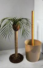 Load image into Gallery viewer, Palm tree tropical island bathroom toilet plunger cover beach decoration
