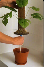 Load image into Gallery viewer, Cover for Toilet Scrub Brush POTTY PLANTS Bowl Brush Cover Monstera Bathroom Decor Container
