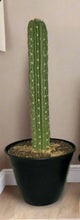 Load image into Gallery viewer, Cactus Plunger Cover Southwest Bathroom Decor Succulent Saguaro
