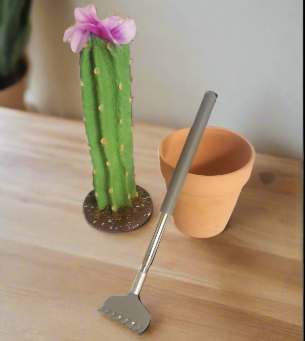 Back scratcher in cactus container Southwest desert decor