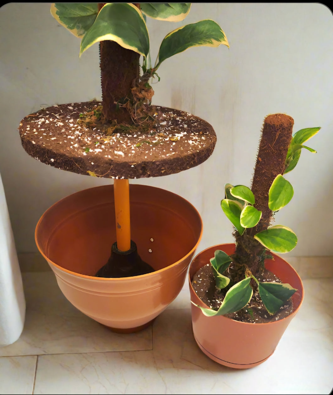 Hide Toilet Plunger and Scrub Brush Bathroom Decor Cover Container Variegated  POTTY PLANTS