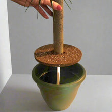 Load image into Gallery viewer, Cover for Toilet Scrub Brush Tropical Island Bathroom Beach Palm Tree Decor Potty Plants
