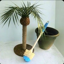Load image into Gallery viewer, Cover for Toilet Scrub Brush Tropical Island Bathroom Beach Palm Tree Decor Potty Plants
