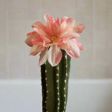 Load image into Gallery viewer, Covers for Toilet plunger and bowl scrub brush Saguaro containers caddy look like cactus
