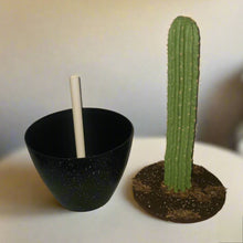 Load image into Gallery viewer, Hide valuables remote controls organize cell phone accessories charging cords office supplies top secret cactus decor succulents
