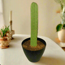 Load image into Gallery viewer, Hide valuables remote controls organize cell phone accessories charging cords office supplies top secret cactus decor succulents
