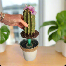 Load image into Gallery viewer, Lint Roller Cover Succulent Cactus Container Laundry Office SuccuLINT Petcare
