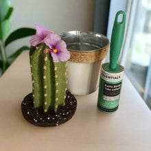 Load image into Gallery viewer, Lint Roller Cover Succulent Cactus Container Laundry Office SuccuLINT Petcare
