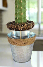 Load image into Gallery viewer, Cactus safe stash hide key organize hidden compartment decorative container
