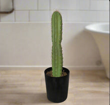 Load image into Gallery viewer, Toilet Plunger Storage Cover Container San Pedro Cactus Succulent Southwest Bathroom Decor POTTY PLANTS
