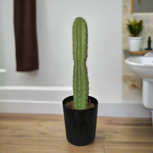 Load image into Gallery viewer, Toilet Plunger Storage Cover Container San Pedro Cactus Succulent Southwest Bathroom Decor POTTY PLANTS
