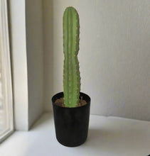 Load image into Gallery viewer, Toilet Plunger Storage Cover Container San Pedro Cactus Succulent Southwest Bathroom Decor POTTY PLANTS
