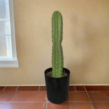 Load image into Gallery viewer, Toilet Plunger Storage Cover Container San Pedro Cactus Succulent Southwest Bathroom Decor POTTY PLANTS
