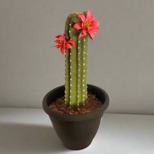 Load image into Gallery viewer, Toilet Brush Holder Cactus Blossom Container Caddy for Bowl Brush Southwest Decor Bathroom Succulent
