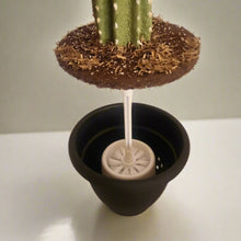Load image into Gallery viewer, Toilet Brush Holder Cactus Blossom Container Caddy for Bowl Brush Southwest Decor Bathroom Succulent
