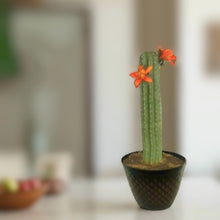 Load image into Gallery viewer, Hide valuables remote controls organize cell phone accessories charging cords office supplies top secret cactus decor succulents
