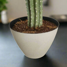 Load image into Gallery viewer, Hide valuables remote controls organize cell phone accessories charging cords office supplies top secret cactus decor succulents
