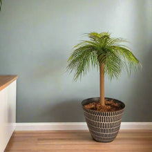 Load image into Gallery viewer, Top Secret Palm Tree Decor Hides Items Discreetly Hidden Compartment Secret Stash Office Decor
