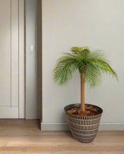 Load image into Gallery viewer, Top Secret Palm Tree Decor Hides Items Discreetly Hidden Compartment Secret Stash Office Decor

