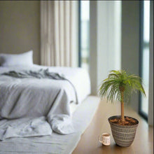 Load image into Gallery viewer, Top Secret Palm Tree Decor Hides Items Discreetly Hidden Compartment Secret Stash Office Decor
