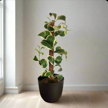 Load image into Gallery viewer, Kitchen Sink Plunger Keeper Looks Like Plant
