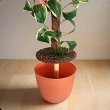 Load image into Gallery viewer, Kitchen Sink Plunger Keeper Looks Like Plant
