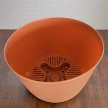 Load image into Gallery viewer, Kitchen Sink Plunger Keeper Looks Like Plant
