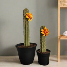 Load image into Gallery viewer, Southwest Bathroom Decor Toilet plunger and bowl scrub brush containers caddy cactus Saguaro
