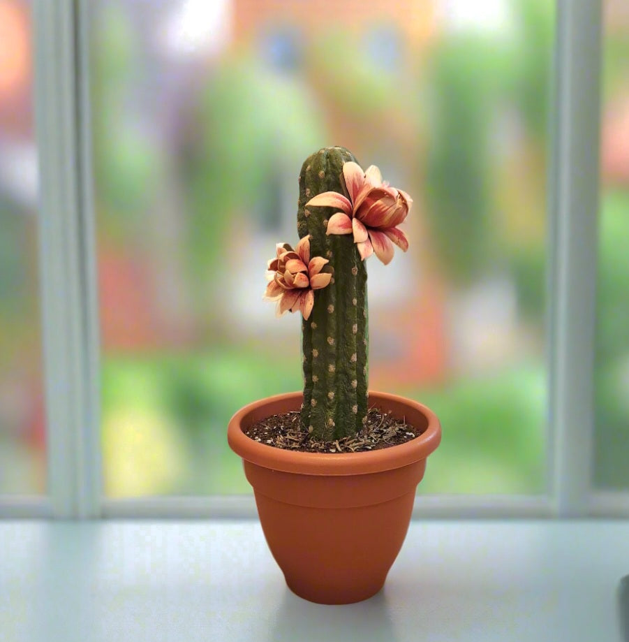 Toilet Brush Holder Cactus Blossom Container Caddy for Bowl Brush Southwest Decor Bathroom Succulent