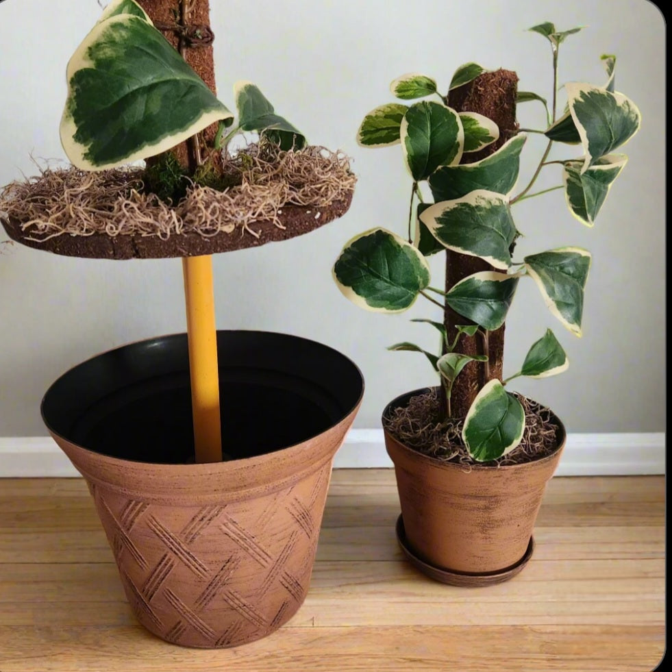 Hide Toilet Plunger and Scrub Brush Bathroom Decor Cover Container Variegated  POTTY PLANTS