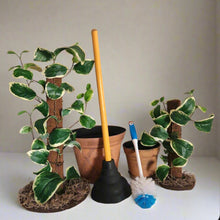 Load image into Gallery viewer, Hide Toilet Plunger and Scrub Brush Bathroom Decor Cover Container Variegated  POTTY PLANTS
