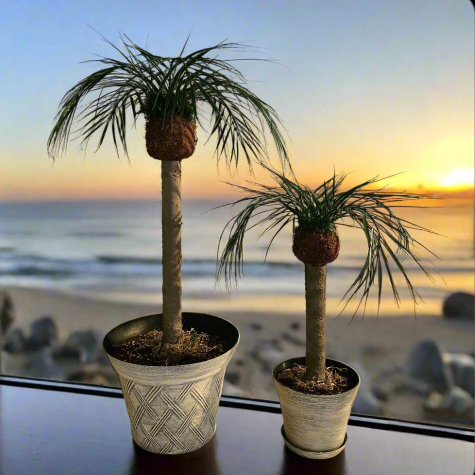 Palm Trees Toilet Plunger and Scrub Brush Covers Set Beach Theme Bathroom Accessories Island Decor for Cleaning Tools