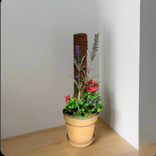 Load image into Gallery viewer, Flower Garden Bathroom Decor Toilet Brush Container Caddy Lavender Gardener POTTY PLANTS

