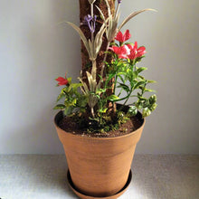 Load image into Gallery viewer, Flower Garden Bathroom Decor Toilet Brush Container Caddy Lavender Gardener POTTY PLANTS
