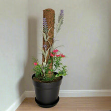 Load image into Gallery viewer, Flower Garden Bathroom Decor Toilet Brush Container Caddy Lavender Gardener POTTY PLANTS
