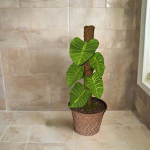 Load image into Gallery viewer, Philodendron Toilet Plunger Cover Container Leafy POTTY PLANT Bathroom Decor
