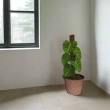 Load image into Gallery viewer, Philodendron Toilet Plunger Cover Container Leafy POTTY PLANT Bathroom Decor
