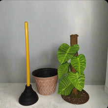Load image into Gallery viewer, Philodendron Toilet Plunger Cover Container Leafy POTTY PLANT Bathroom Decor
