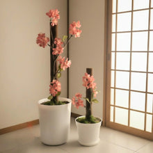 Load image into Gallery viewer, Potty Plants cherry blossoms, apple blossoms, peach blossoms decorative covers for toilet plunger and scrub brush
