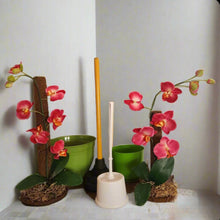 Load image into Gallery viewer, Toilet plunger and Scrub Brush Orchid Potty Plants Containers
