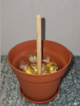 Load image into Gallery viewer, SaguarHOE Fun Cactus Container Sewing Pin Cushion Candy Dish Desk Decor
