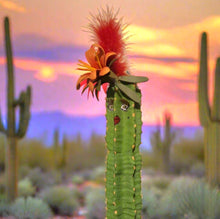Load image into Gallery viewer, SaguarHOE Fun Cactus Container Sewing Pin Cushion Candy Dish Desk Decor
