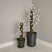 Load image into Gallery viewer, Toilet Plunger and Scrub Brush Containers Japanese Cherry Blossom or Apple Blossom, Bathroom Decor
